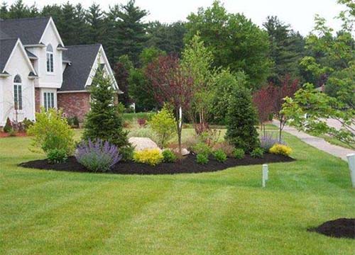 Front yard of a white house with trees and bushes in the yard.