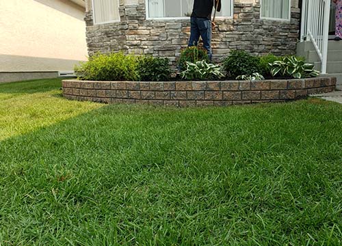 Garden bed under the window facing the front yard of a house 