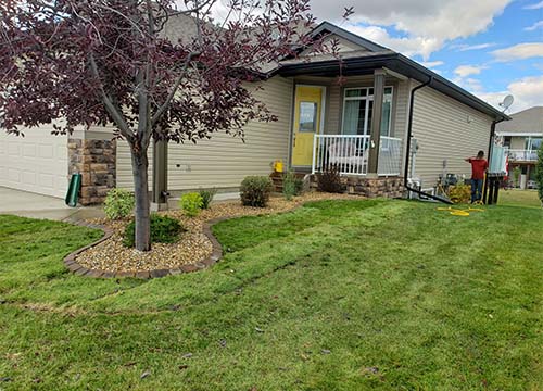 Front yard of a small grey house that has a tree with purple leaves in front of it.