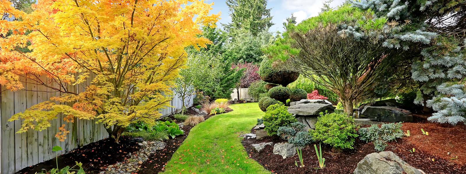 Picture of a backyard witch green grass, flowers, and colorful trees.