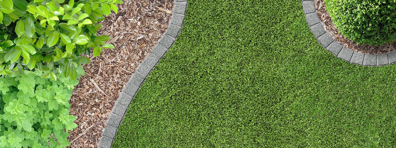 Top down picture of some bushes, grass, and  brick work.